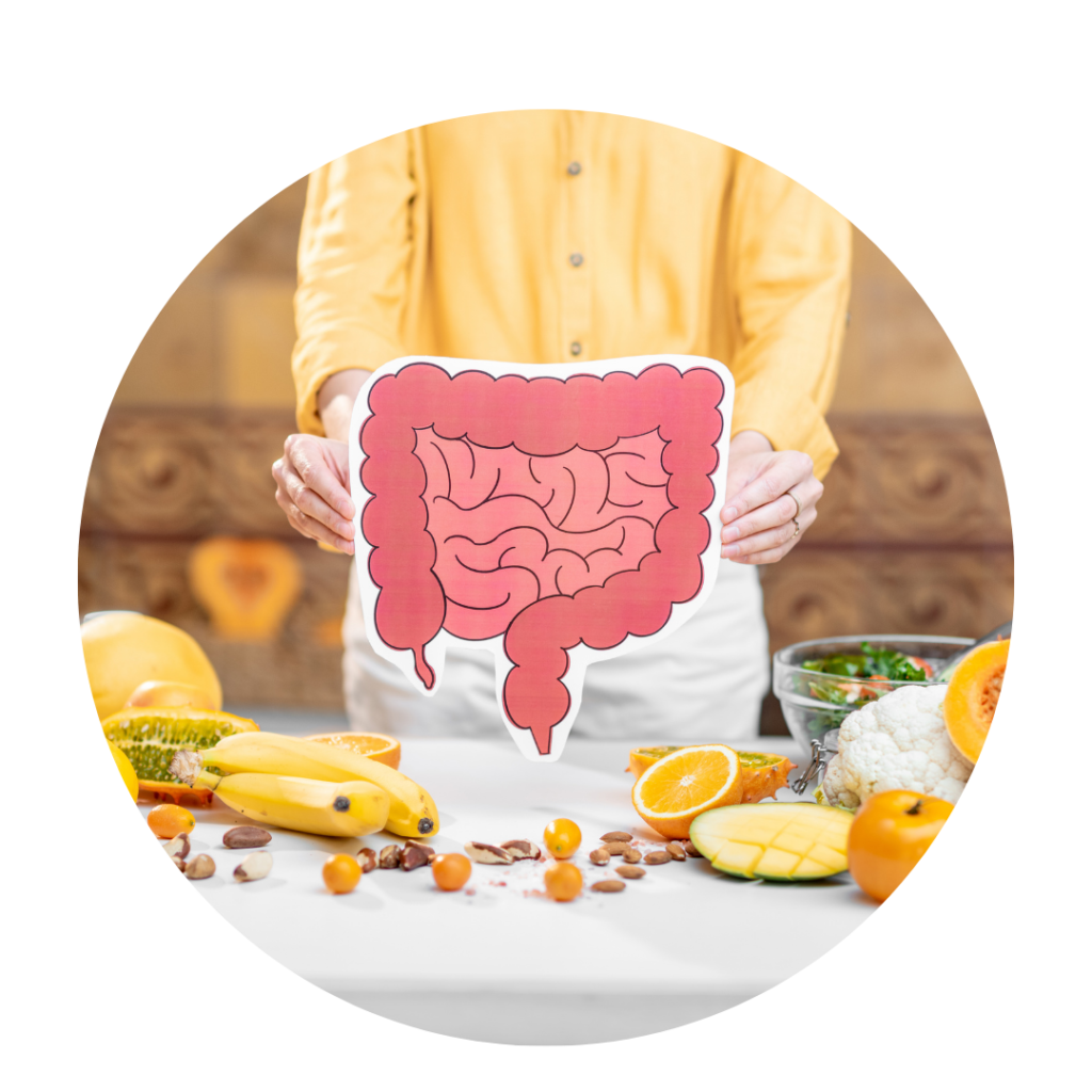 Alimentação e sistema digestivo